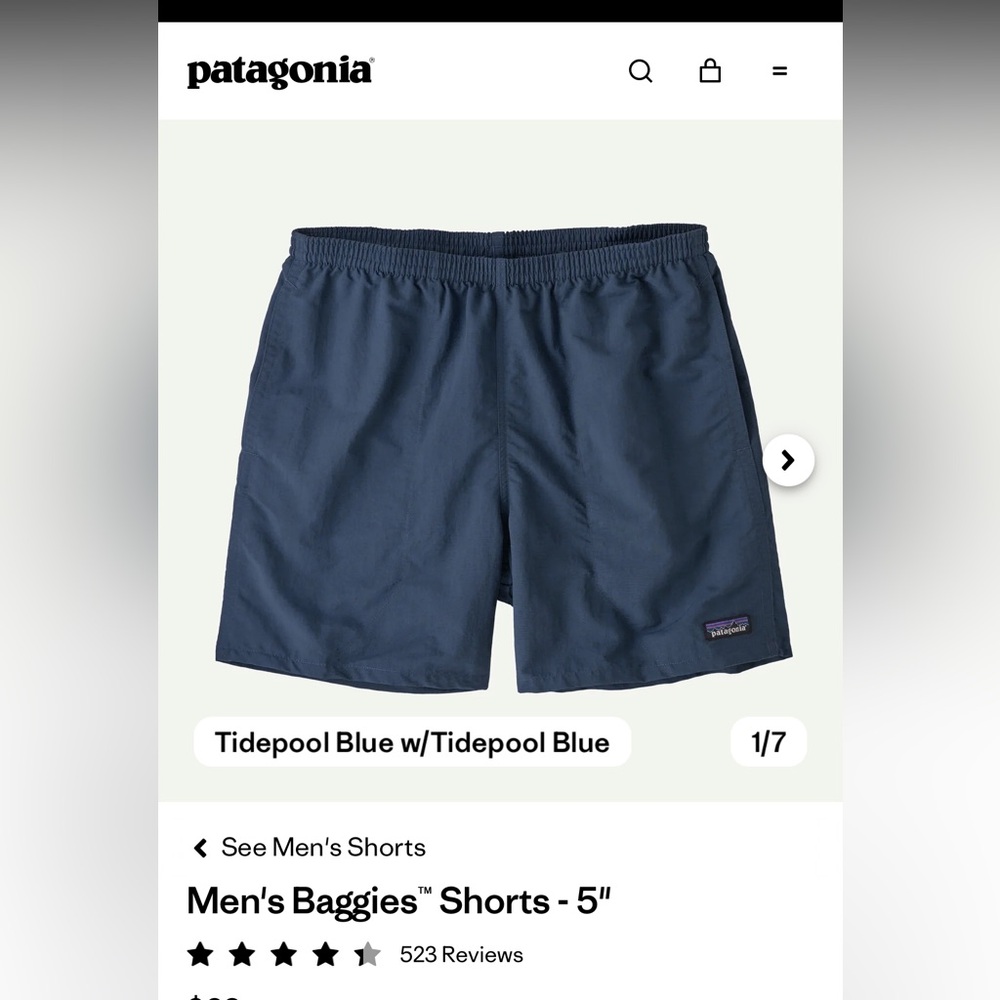 Patagonia Men's Baggies Shorts